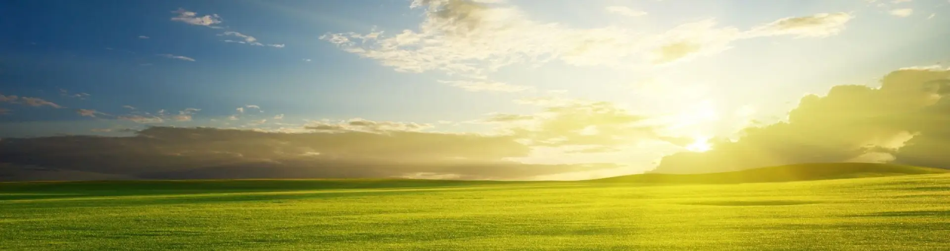 311 Header